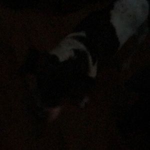 Meet your Posher, Kim